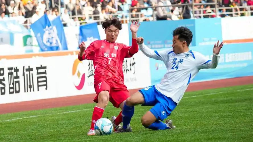 雨燕直播360高清直播